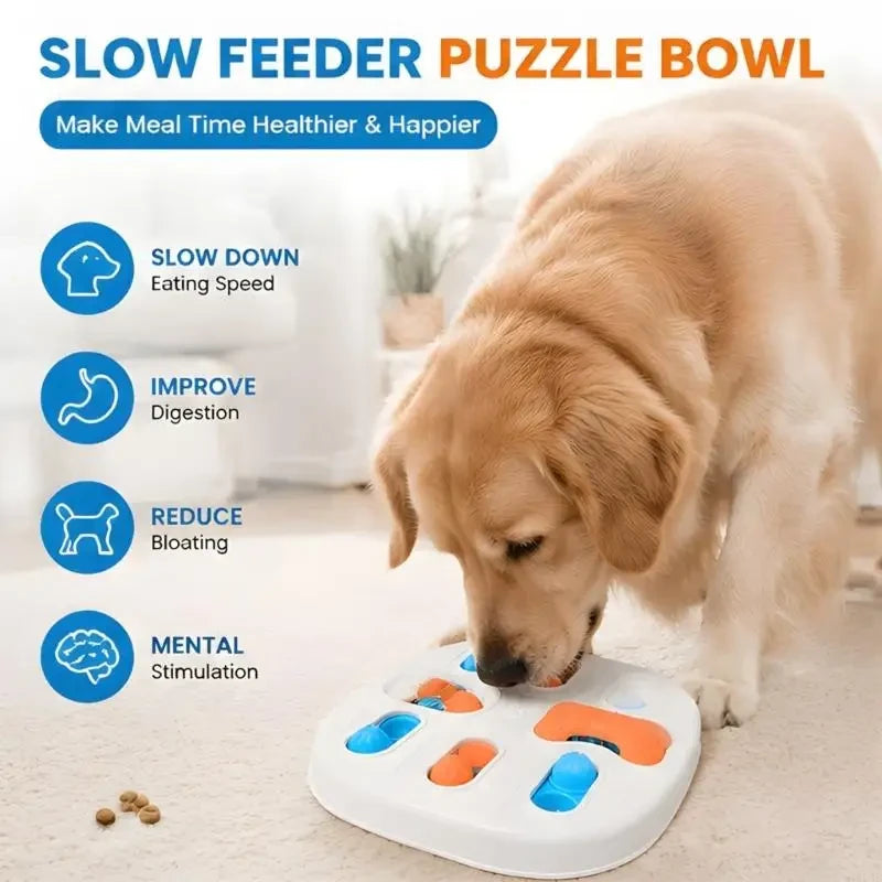 Comedor interactivo para mascota
