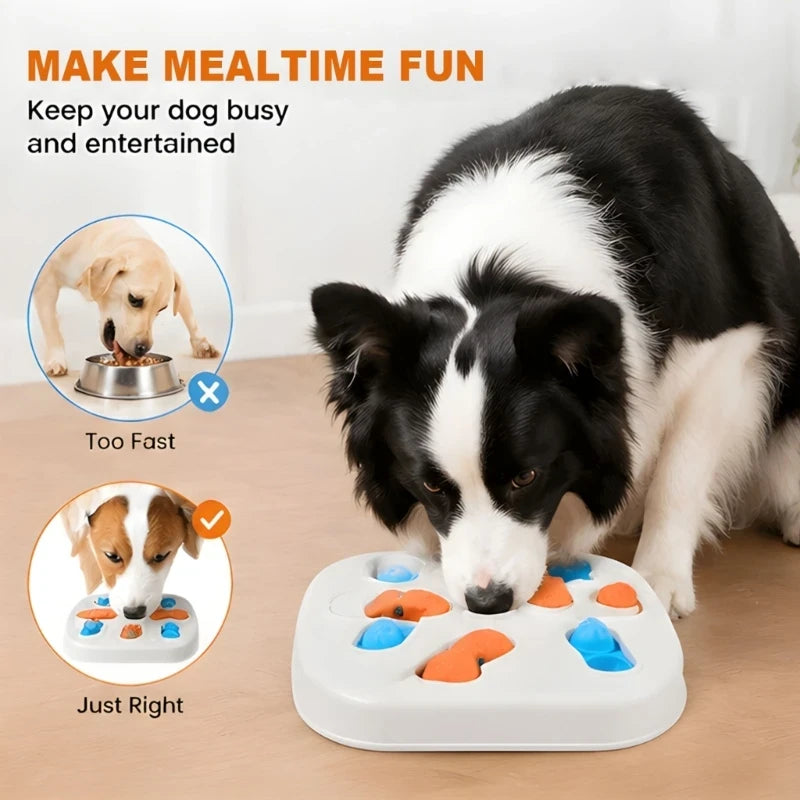 Comedor interactivo para mascota