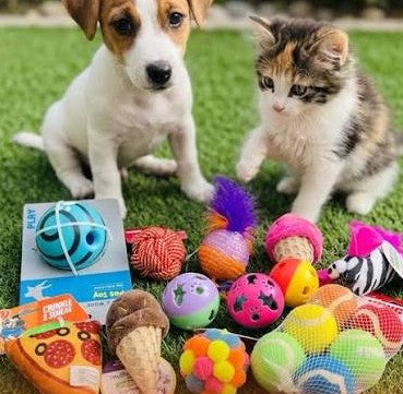 Mascotas
